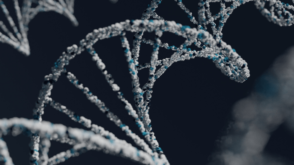 an image of a strand of dna