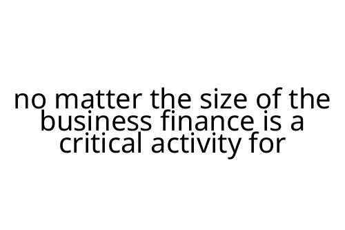 no matter the size of the business finance is a critical activity for