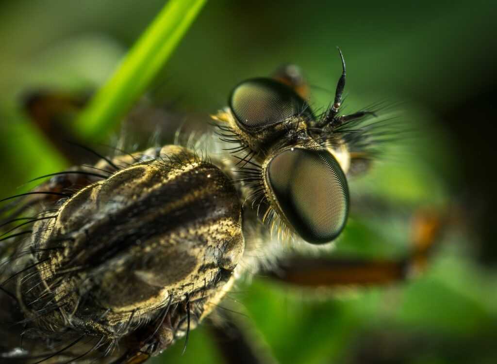 listcraqlwr