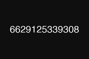 6629125339308