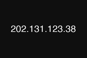202.131.123.38