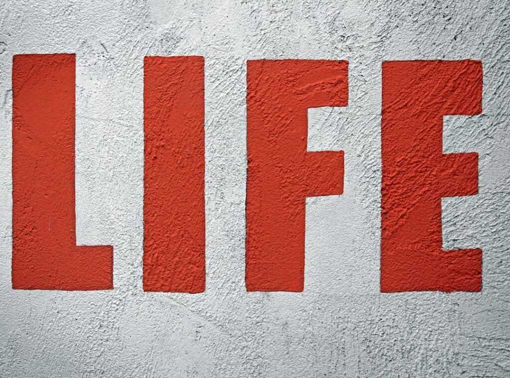 #Momlif on myyouthfulminddiscoveries.com