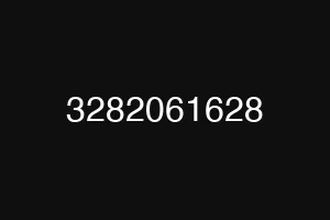 3282061628