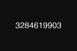 3284619903