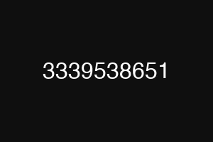 3339538651