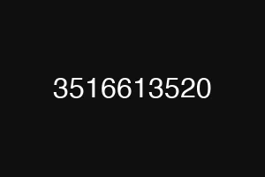 3516613520