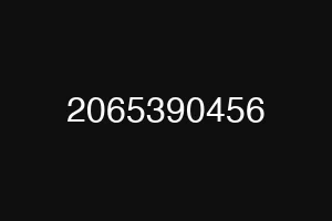 2065390456