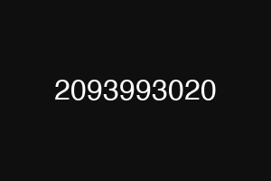 2093993020