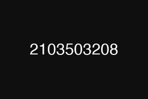 2103503208
