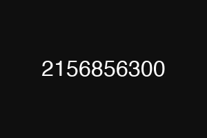 2156856300