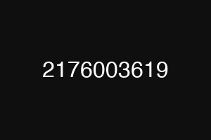 2176003619
