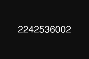 2242536002