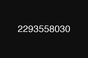2293558030
