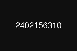 2402156310