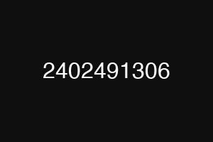 2402491306