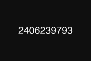 2406239793