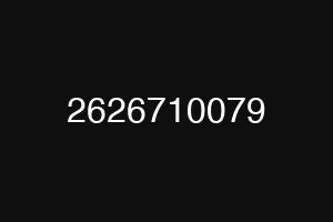 2626710079