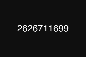2626711699