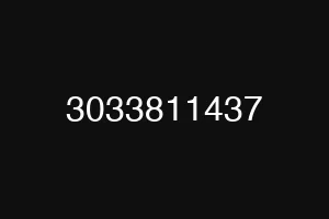 3033811437