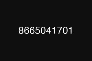 8665041701